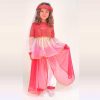 ACPiquet Disfresses Princesa Yasmin-ArtesaniesCarmePiquet-acpiquet.com