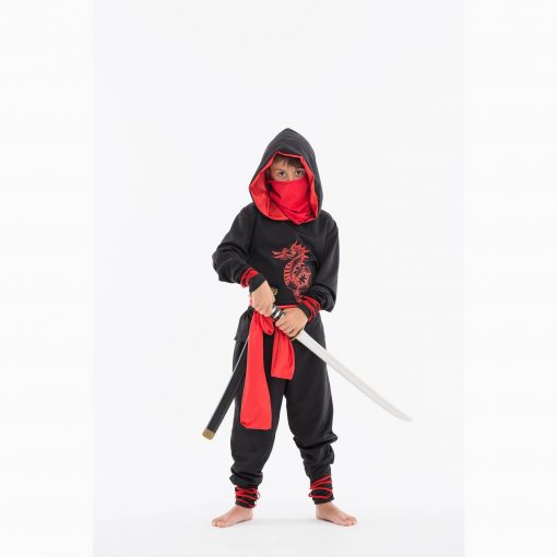 Ninja Dragón