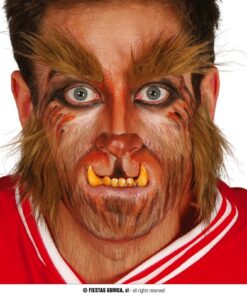 BARBA I CELLES HOME LLOP