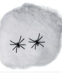 TERANYINA BLANCA 40 GRS.